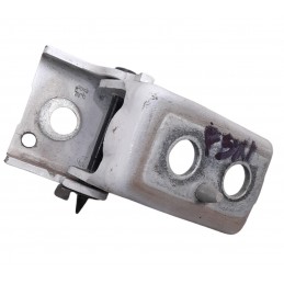 Cerniera porta posteriore...