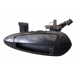 Maniglia esterna porta...