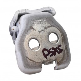 Cerniera porta posteriore...