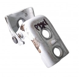 Cerniera porta posteriore...