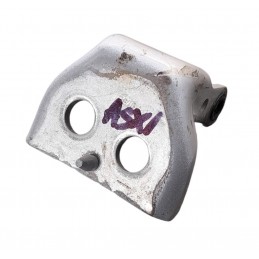 Cerniera porta anteriore...