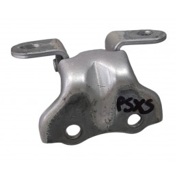 Cerniera porta posteriore...