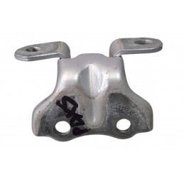 Cerniera porta posteriore...