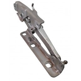 Cerniera cofano anteriore...