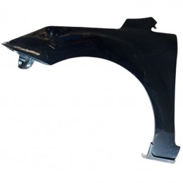 Parafango anteriore...