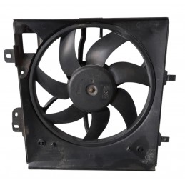 Elettroventola radiatore...