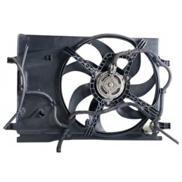 Elettroventola radiatore...