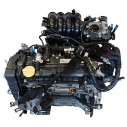 Motore 169A4000 Fiat Panda...