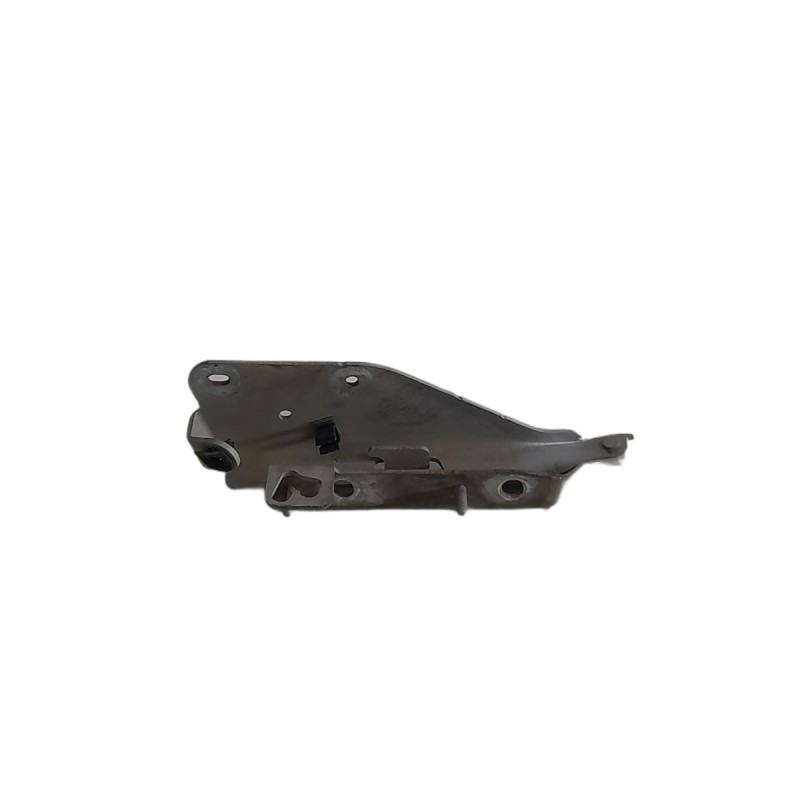 Cerniera cofano destra 9637365580 Citroen C3 2002-2009 - Varie3 - 1