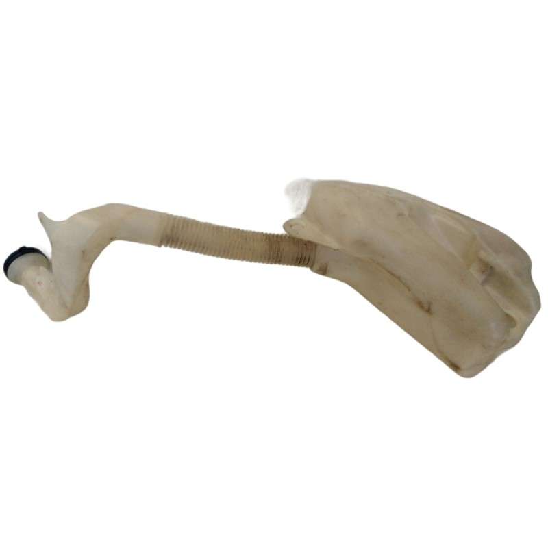 Vaschetta acqua tergicristallo 9642546080 Citroen C3 03-10 - Vaschette - 1 Vaschetta acqua tergicristallo 9642546080 Citroen C3 03-10 - Vaschette - 1