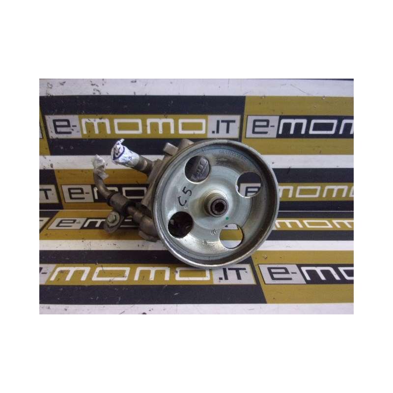 Pompa Idroguida 9656485380 Citroen C5 Peugeot 407 - Pompa Idroguida - 1