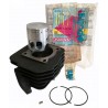 Gruppo termico Polini 1190034 D.47.00 Honda Pgt-Honda Vision 50cc - Motore - 1
