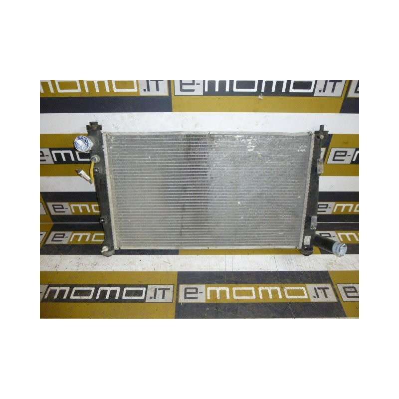 Radiatore acqua 279050100130 Tata Indica - Radiatore - 1 Radiatore acqua 279050100130 Tata Indica - Radiatore - 1