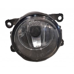 Fendinebbia destro sinistro Renault Scenic 2003-2009 - Fendinebbia - 1