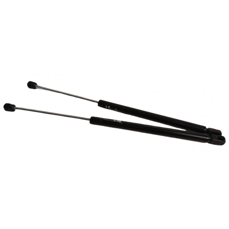 Pistoncini molle a gas portellone Ford Focus II 1.6 Tdci 2004-2011 - Pistoncini a gas - 1 Pistoncini molle a gas portellone Ford Focus II 1.6 Tdci 2004-2011 - Pistoncini a gas - 1
