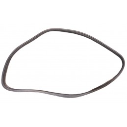 Guarnizione porta posteriore destra Fiat Tipo 1.6 multijet Mk 356 357 358 2015- in poi - Guarnizione - 1