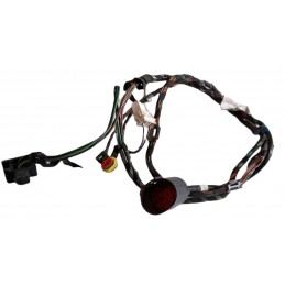 Cablaggio porta sinistra Smart Fortwo 450 1997-2008 - Cablaggio - 1