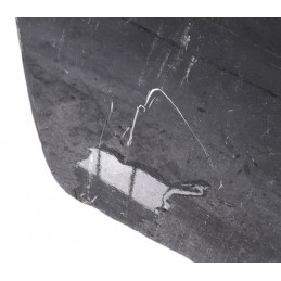 Porta anteriore sinistra Audi TT 8N 1998-2006 - Portiera - 2