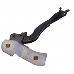 Cerniera cofano anteriore sinistra Alfa Romeo Giulia 2.2 turbo 110 Kw 2016 - Cerniera - 1