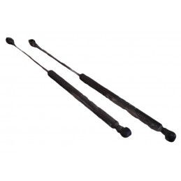 Pistoncini molle a gas Renault Clio 2000-2012 - Pistoncini a gas - 1