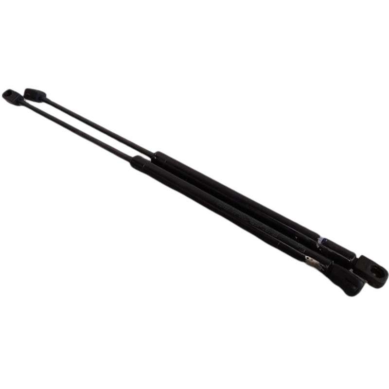 Pistoncini molle a gas Peugeot 307 2.0 Hdi 2000-2009 5 porte
