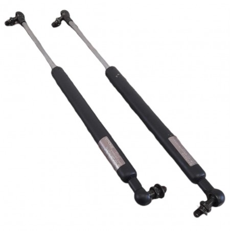 Ammortizzatori Per Portellone Posteriore Per Honda Civic Hatchback 1992-1995 (2 Pezzi), RIBONI Ricambio OE 74820SR3003