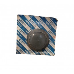 Coppa mozzo Fiat Ducato 1981-1994 - Mozzi - 1