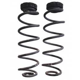 Molle posteriori Audi A4 MkB8 2007-2016 - Molle sospensione - 1