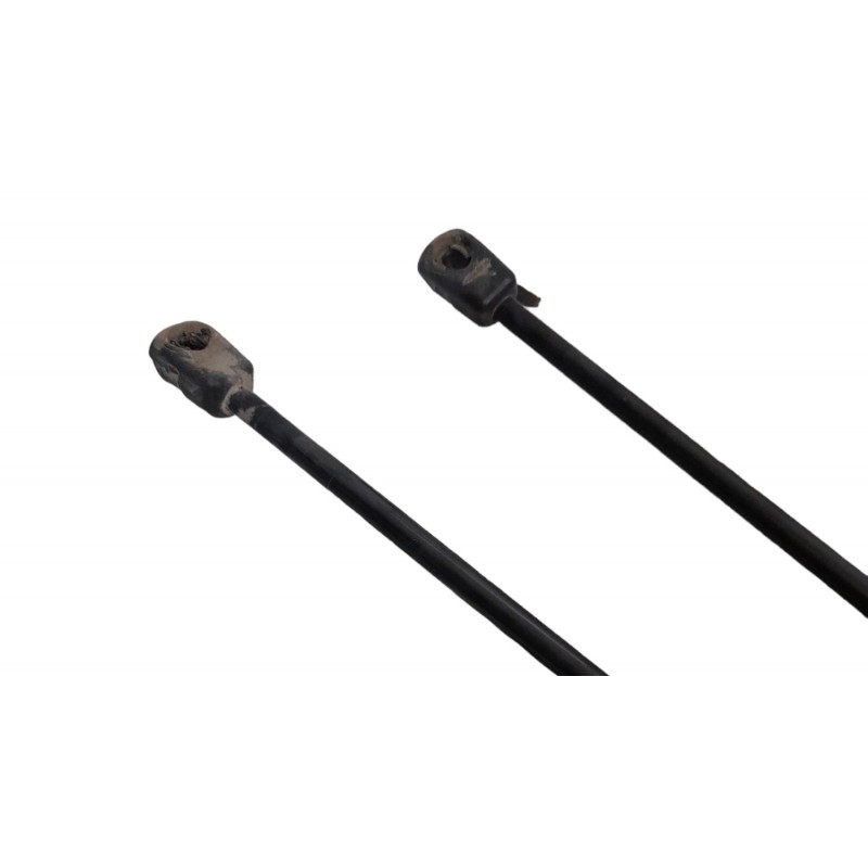 Pistoncini A Gas Per Portellone Posteriore Compatibili Con Opel Zafira (2005-2011) - Coppia Di Molle Per Bagagliaio, Facili Da Installare