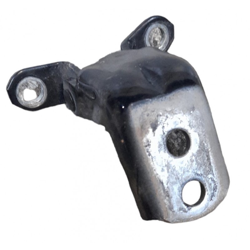 Cerniera porta posteriore destra inferiore Renault Koleos 2008-2011 - Cerniera - 1