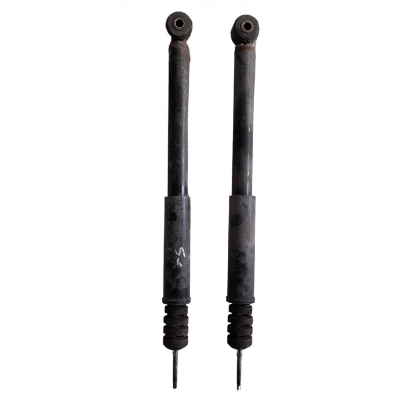 Ammortizzatori posteriori Dacia Sandero 2008-2012
