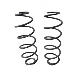 Molla posterioriore Citroen C3 2002-2009 - Molle sospensione - 1