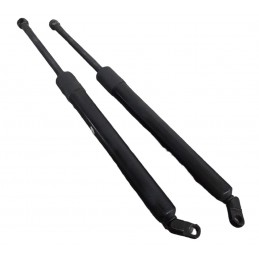 Pistoncini molle a gas Bmw 530 E39 1995-2003 - Pistoncini a gas - 1