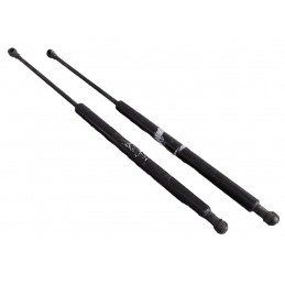 Pistoncini molle a gas Rover 200 1995-2005 - Pistoncini a gas - 1