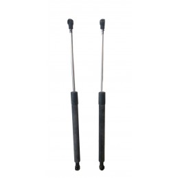 Pistoncini molle a gas Renault Clio 2005-2013 - Maniglia - 1