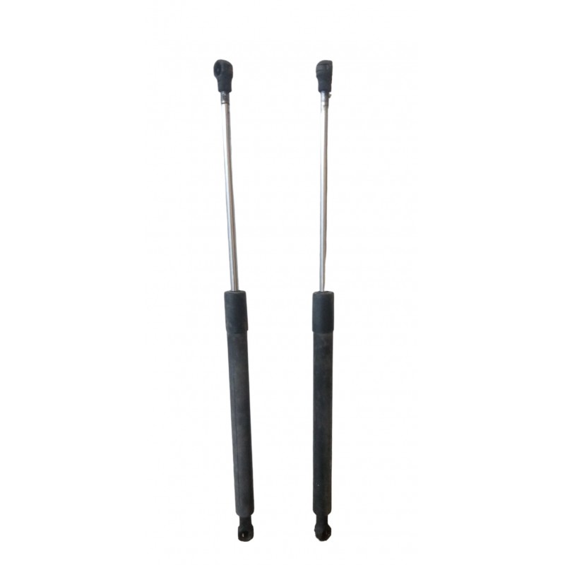 Pistoncini molle a gas Renault Clio 2005-2013 - Maniglia - 1