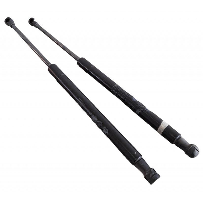 Pistoncini molle a gas posteriori 518416340 Fiat Panda Mk319 2012 - Pistoncini a gas - 1