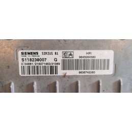 Centralina motore S118230007 Citroen C5 berlina 2000-2008 - Centralina - 2