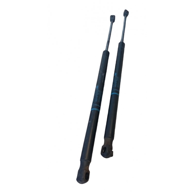 Pistoncini molle a gas portellone 8200377199 Renault Scenic 2003-2009 - Pistoncini a gas - 1 Pistoncini molle a gas portellone 8200377199 Renault Scenic 2003-2009 - Pistoncini a gas - 1