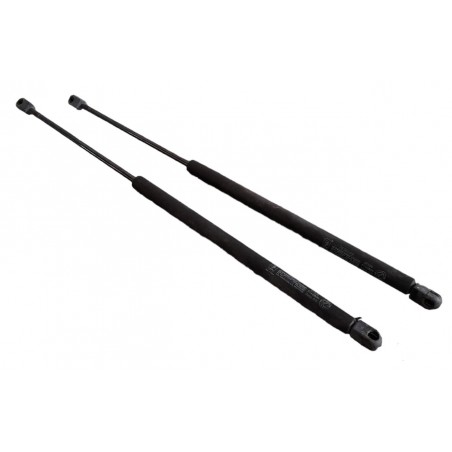 Coppia Molle A Gas Per Portellone Bagagli BMW X3 (E83) 2004 - Facile Installazione
