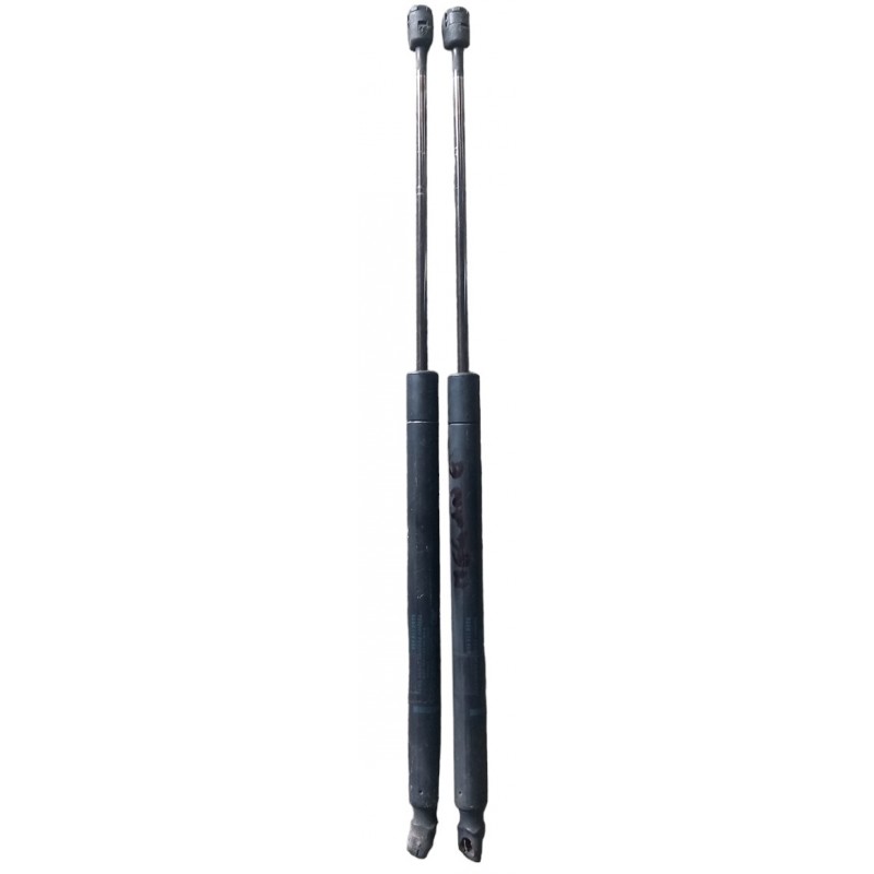 Pistoncini molle a gas posteriori Reanult Megane GrandTour 1.5 Dci 2002-2010 - Pistoncini a gas - 1 Pistoncini molle a gas posteriori Reanult Megane GrandTour 1.5 Dci 2002-2010 - Pistoncini a gas - 1