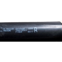 Pistoncini molle a gas cofano anteriore 654707606R Renault Megane 4 station wagon dal 2015 - Pistoncini a gas - 2 Pistoncini molle a gas cofano anteriore 654707606R Renault Megane 4 station wagon dal 2015 - Pistoncini a gas - 2